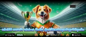 ufa168 ทางเข้า ufabet มือถือ ลุ้นแจ็คพอตมูลค่าสูงได้ทุกวัน